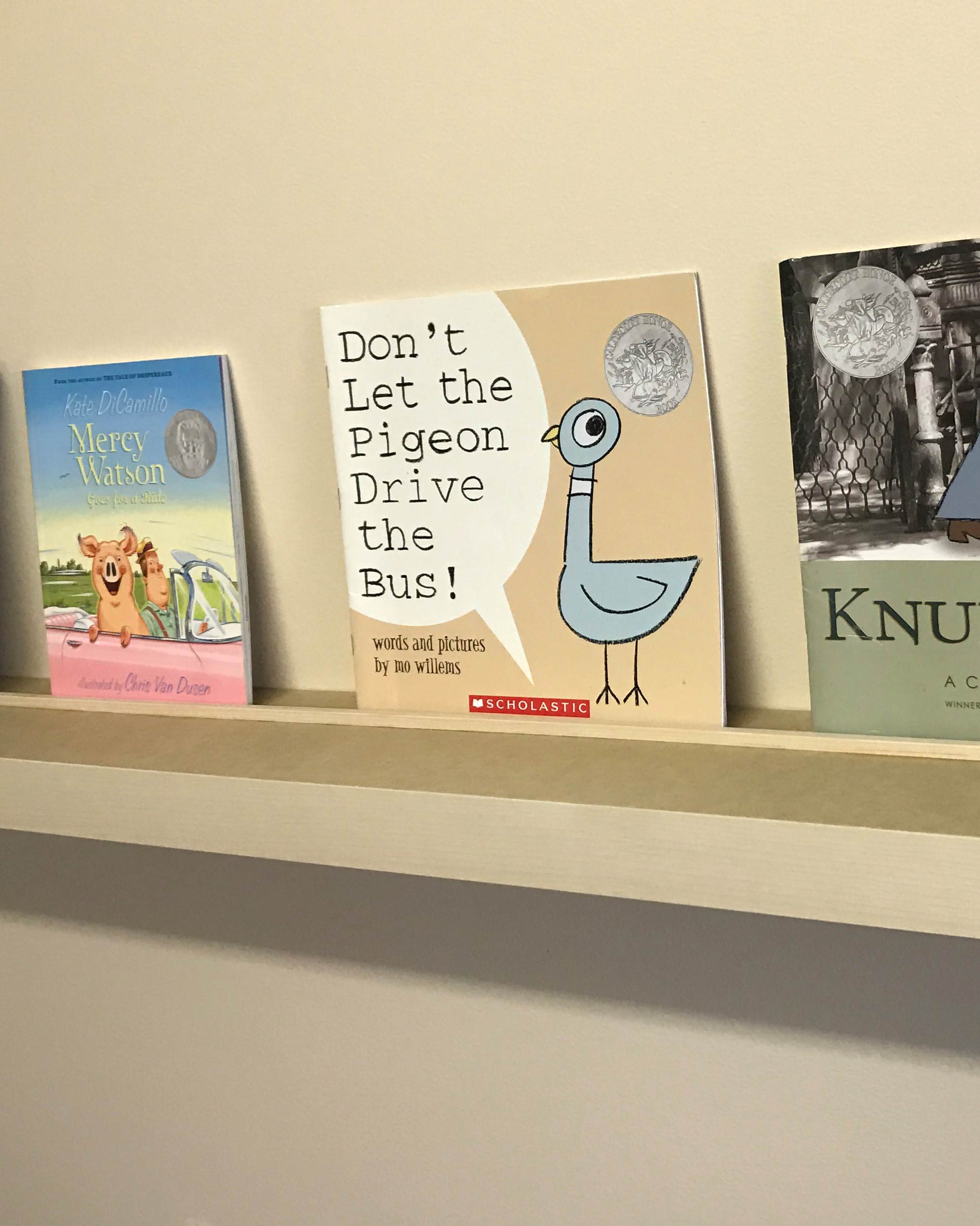 narrow floating shelf with lip holding books
