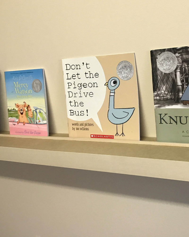 narrow floating shelf with lip holding books